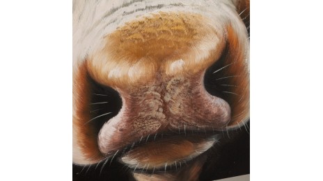 Vaca - Tableau peint à la main 100 x 120 cm